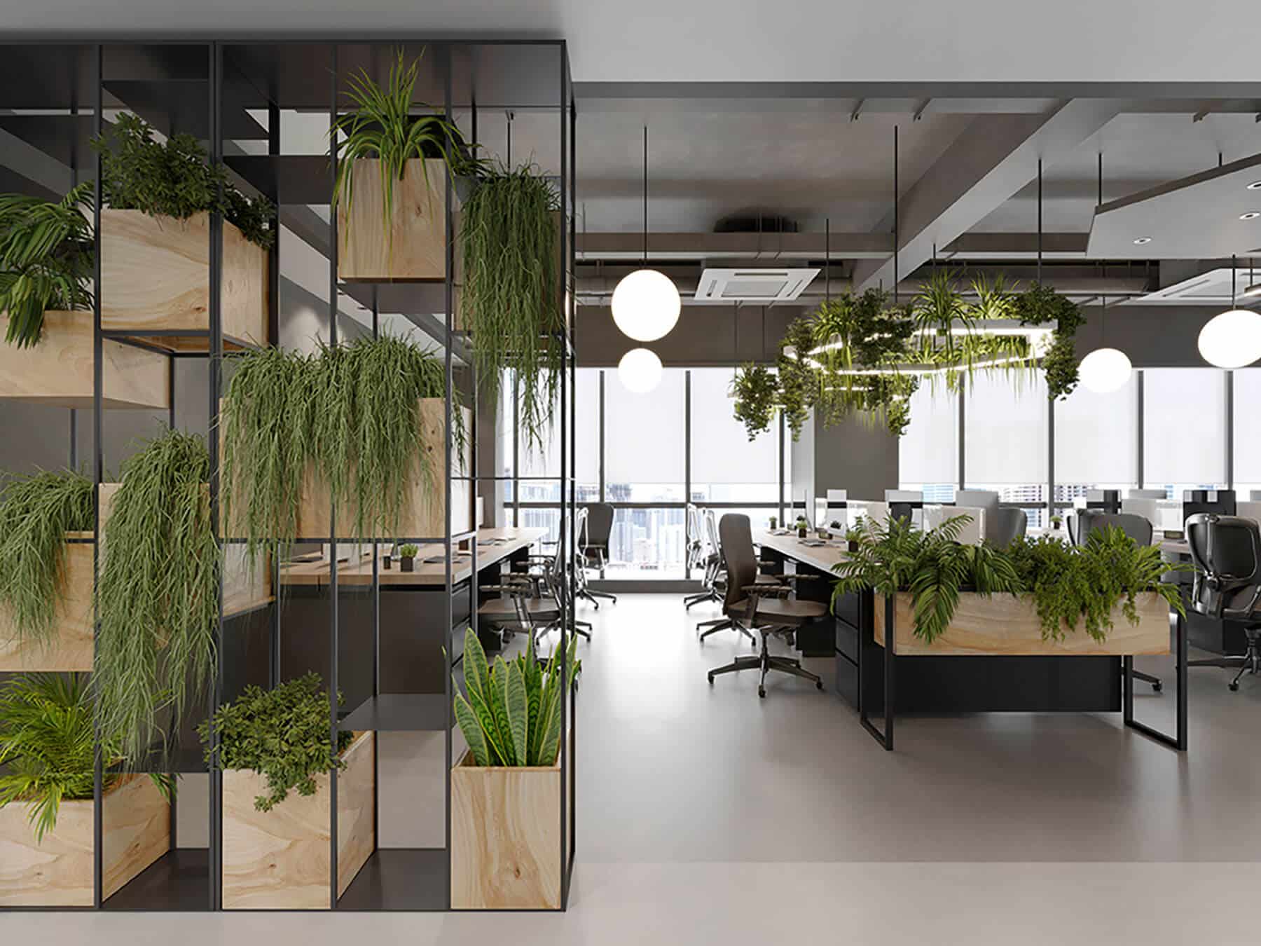 Desks in a sustainable office