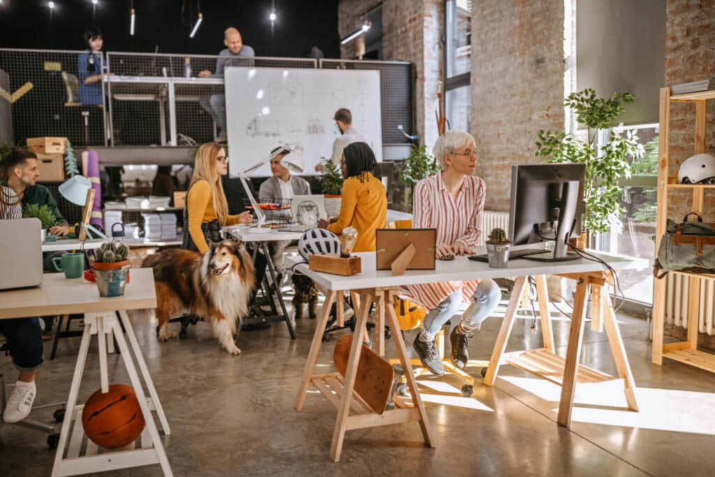 A busy, dog-friendly office space with a collaborative design