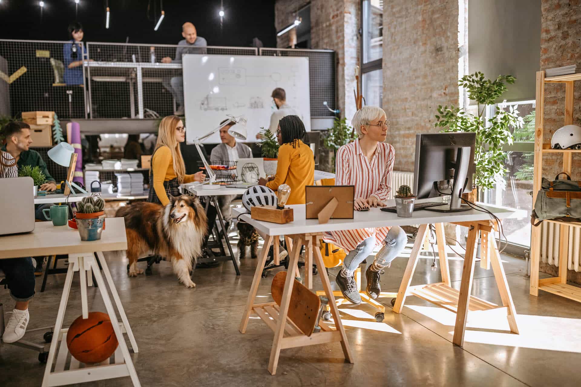 A busy, dog-friendly office space with a collaborative design