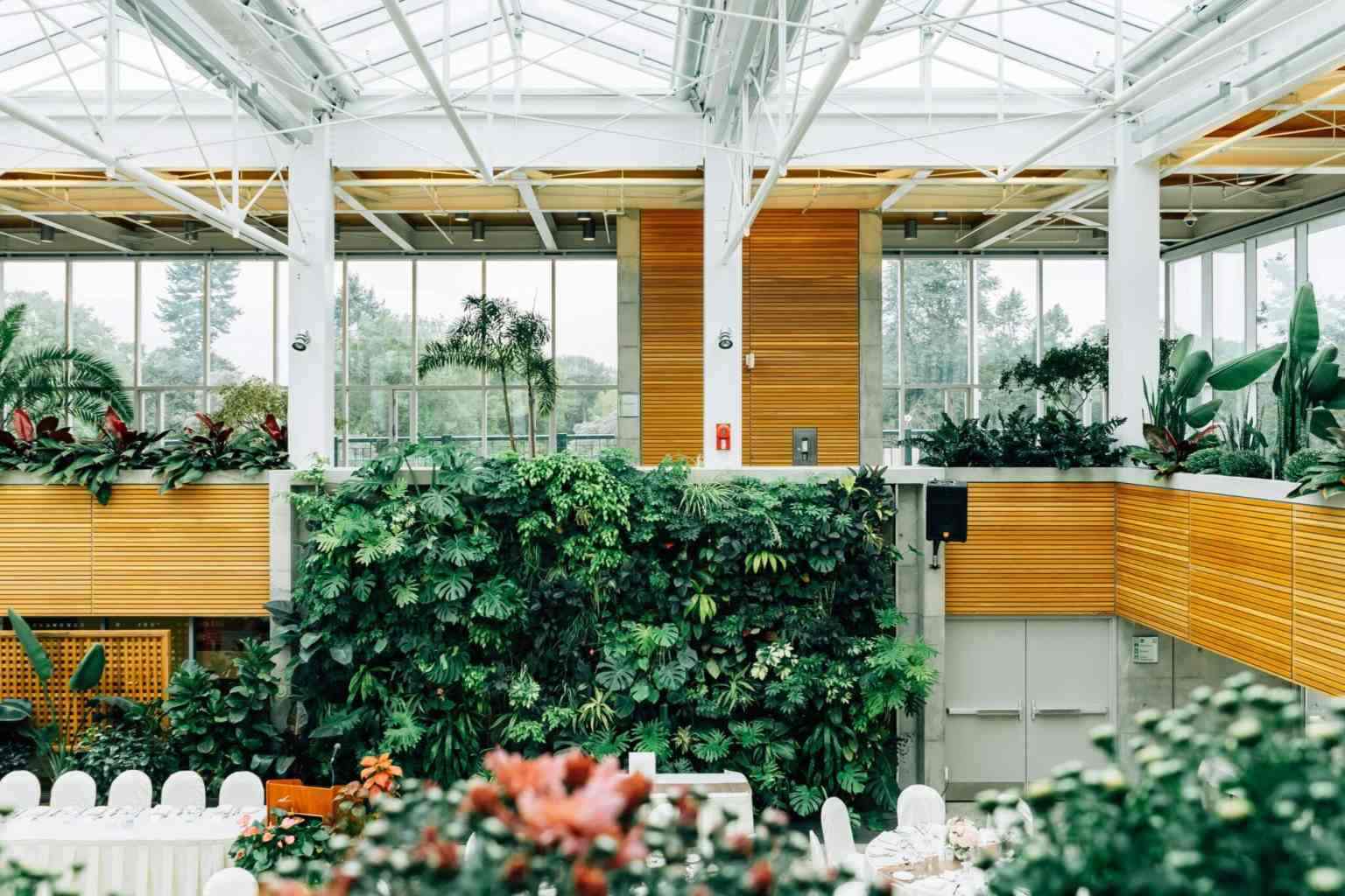 A bright, modern greenhouse interior with large windows, lush green plants covering the walls, and natural light streaming in from the glass ceiling. White furniture and flowers are visible in the foreground.