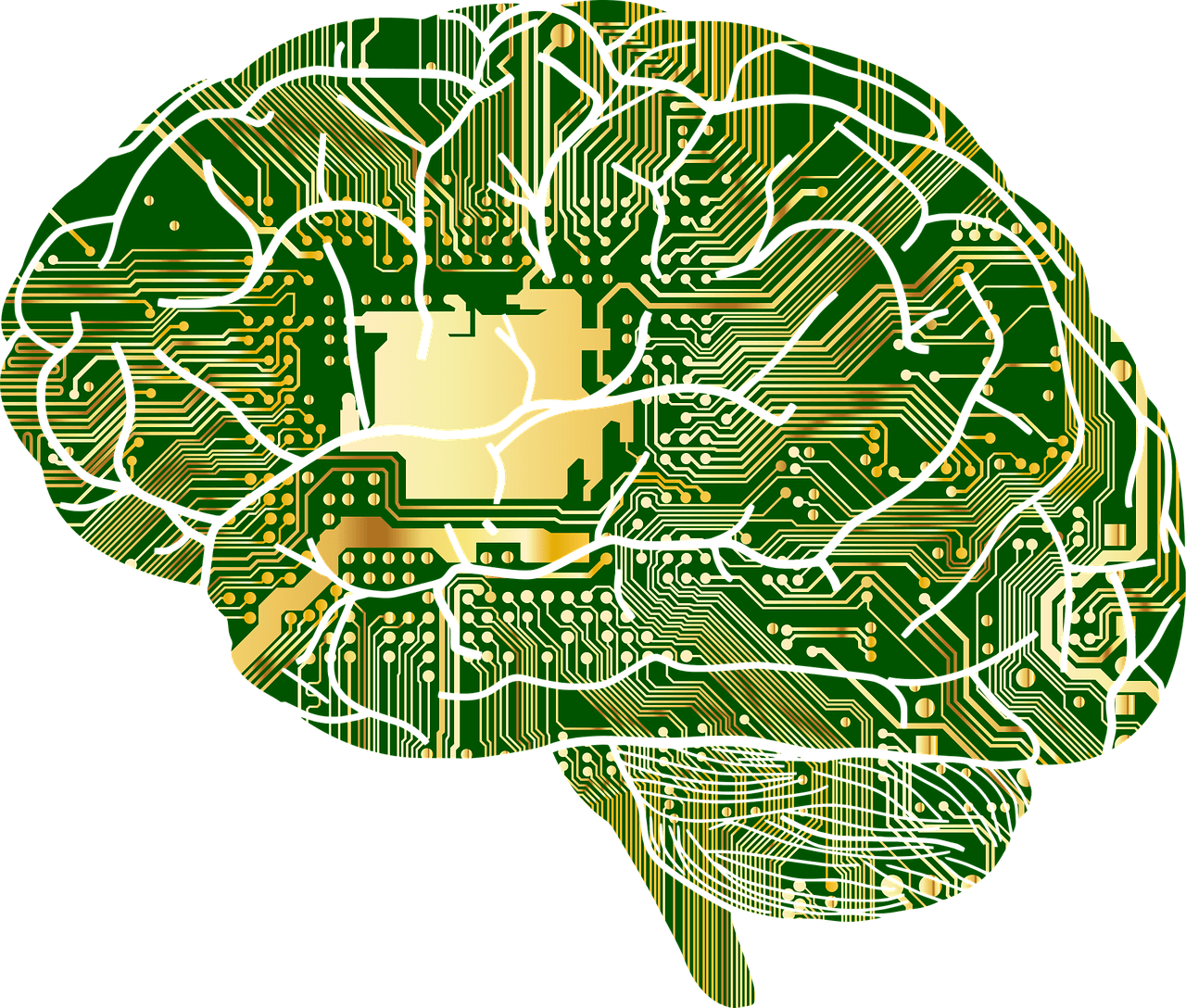 improved cognitive ability