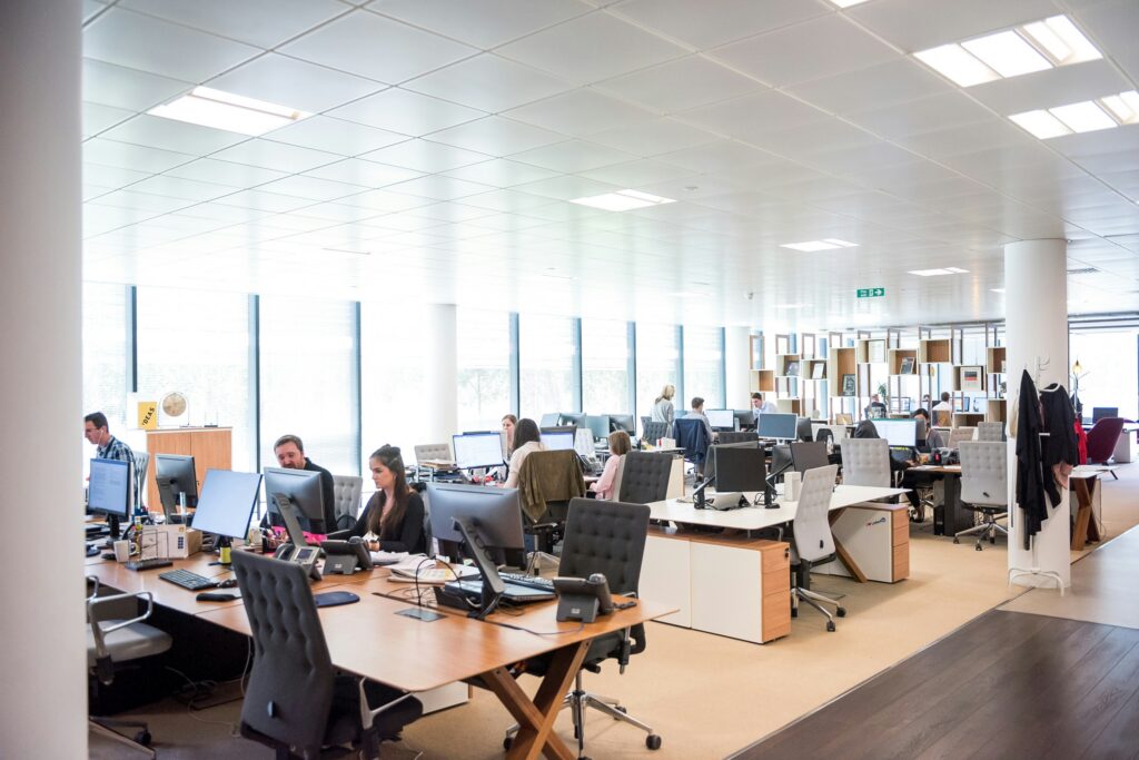 people in an office sitting at their desks