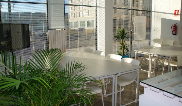 biophilia for occupant health