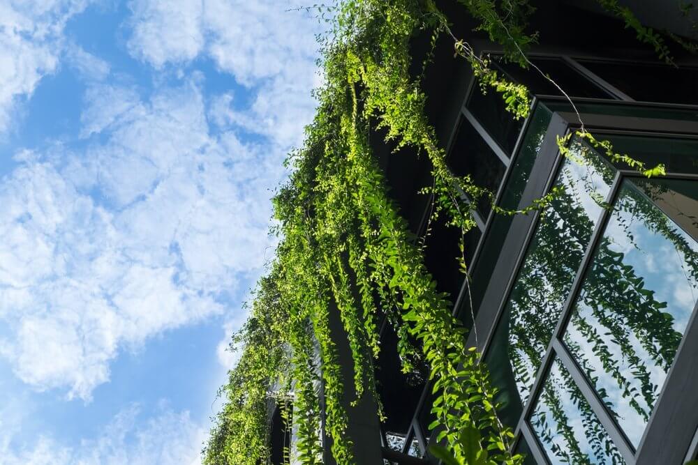 office-building-with-greenery
