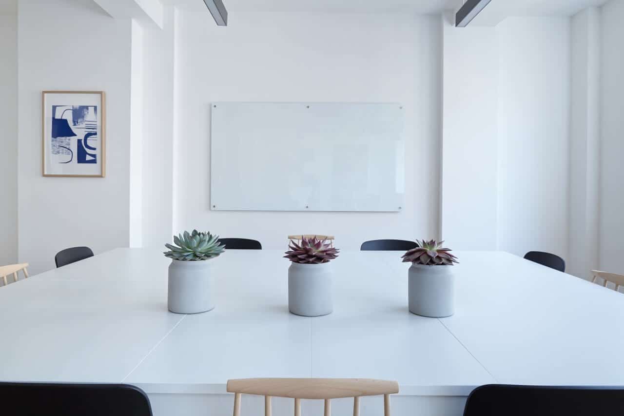 row of plants sitting on conference room table
