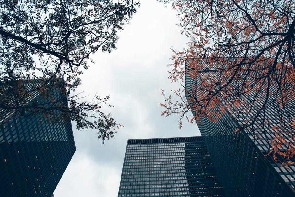 Tall glass skyscrapers viewed from below with tree branches framing the buildings against a cloudy sky.