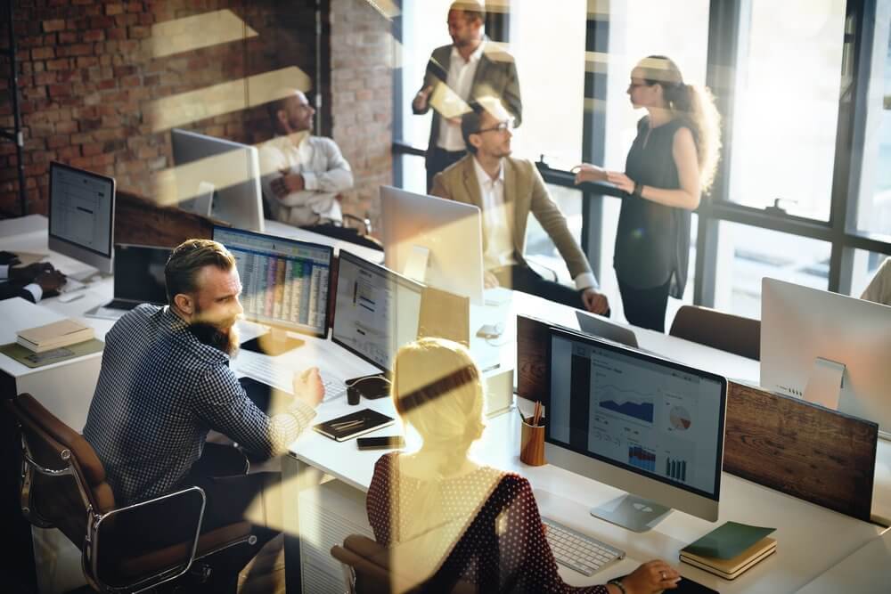 staff working at their desks