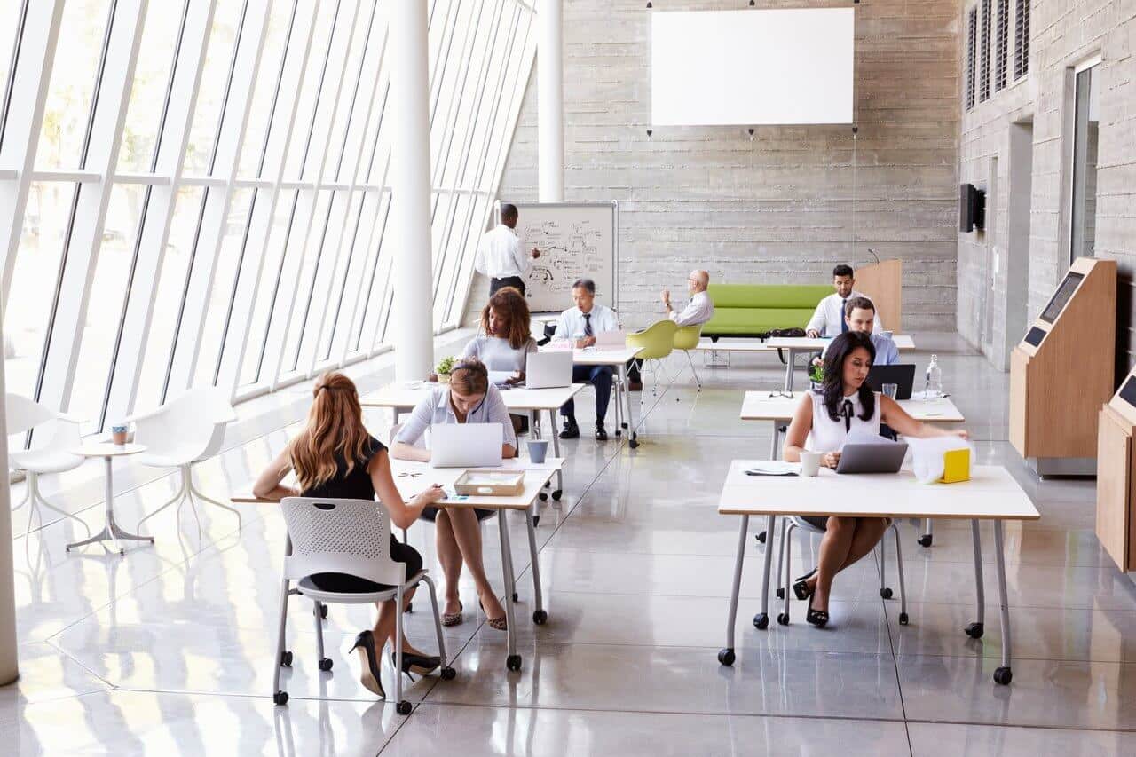 People Sitting At Desk In Well-Lit Office By Windows