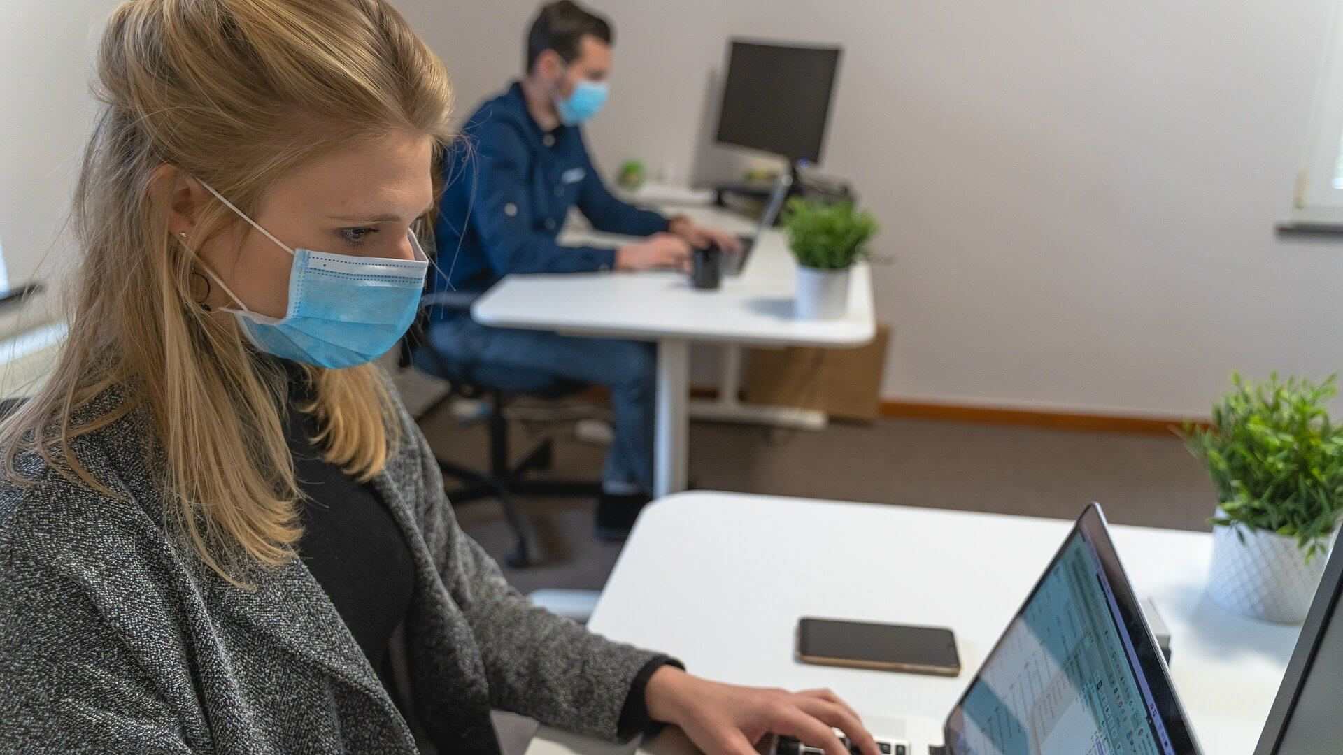 Two people wearing face masks work at separate desks on laptops in an office. Each desk has a small plant, and both individuals are focused on their screens.