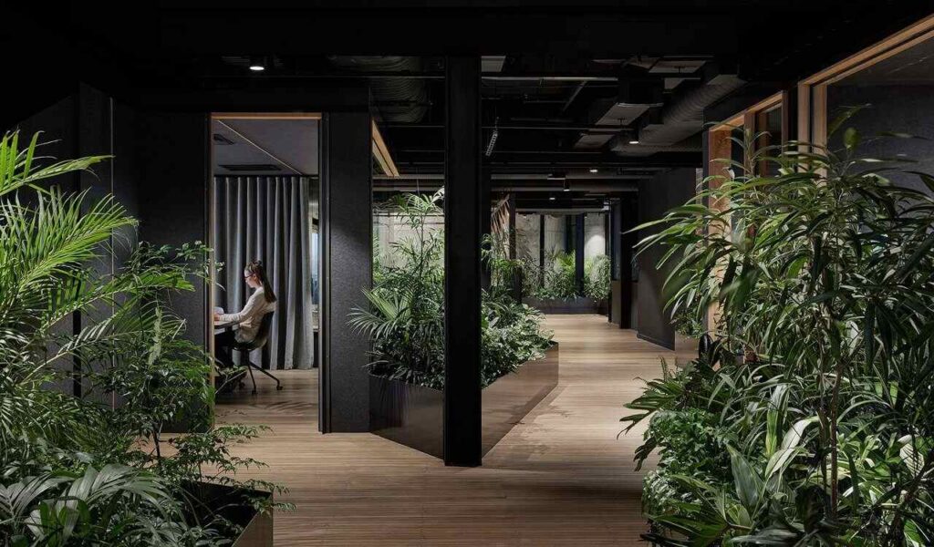 Modern office with lush indoor plants, wooden flooring, and a person working in a glass-enclosed workspace.