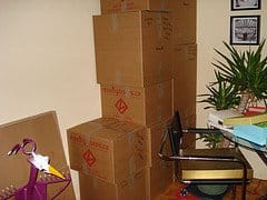Stacks of cardboard boxes next to a desk with a potted plant and a colorful decorative bird.